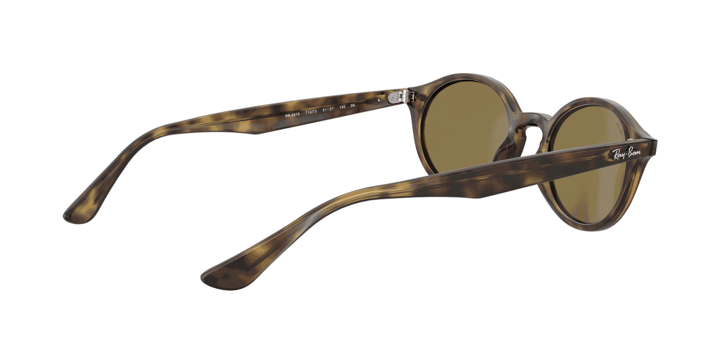 [B-15 Brown Lenses, Polished Light Havana Frame]