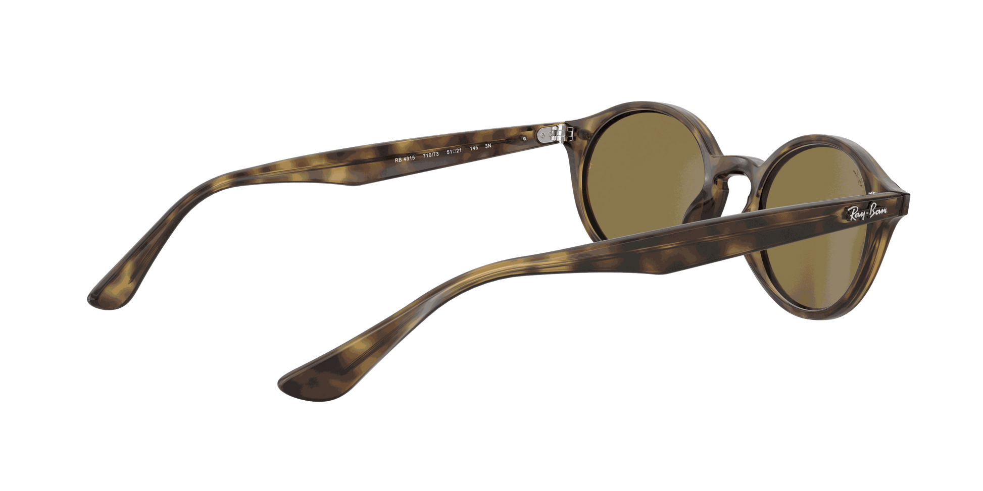 [B-15 Brown Lenses, Polished Light Havana Frame]