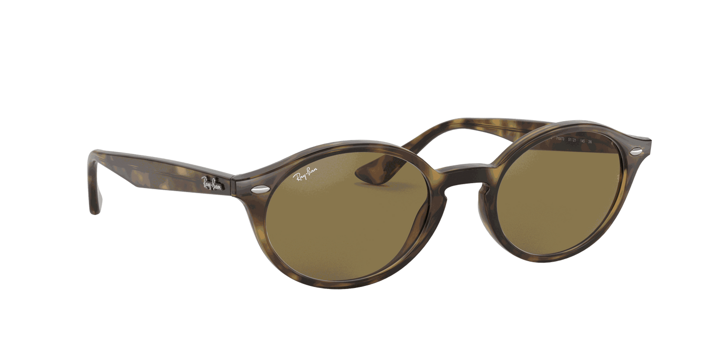 [B-15 Brown Lenses, Polished Light Havana Frame]