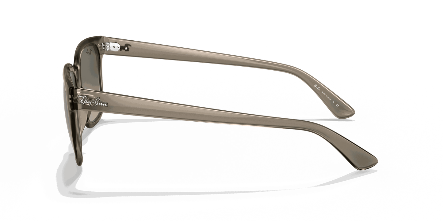[Grey Gradient Lenses, Polished Transparent Grey Frame]