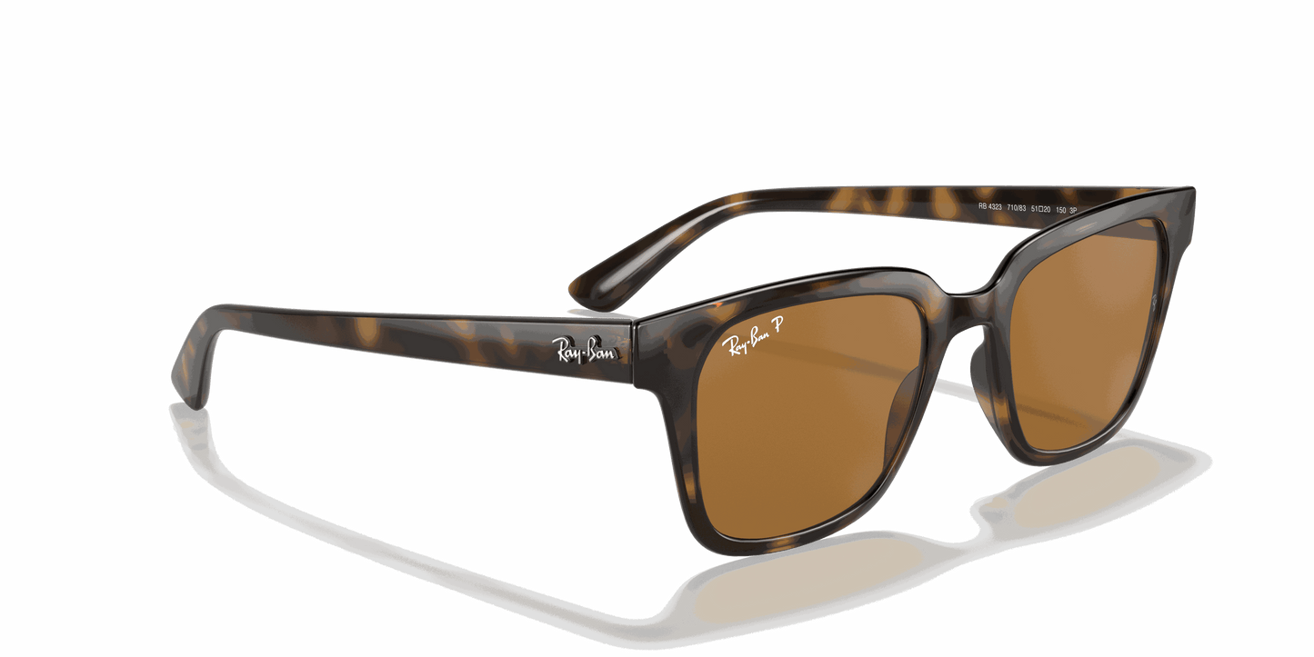[B-15 Brown Lenses, Polished Light Havana Frame]