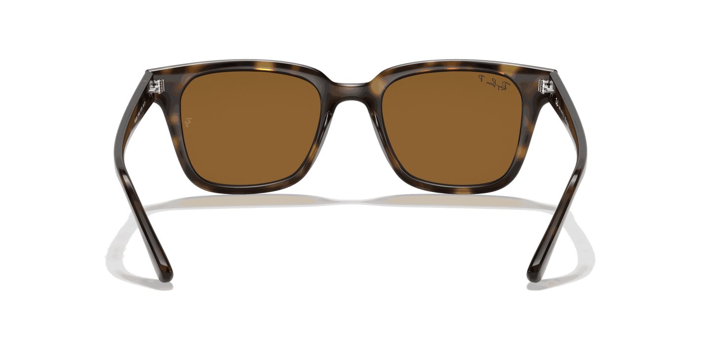 [B-15 Brown Lenses, Polished Light Havana Frame]