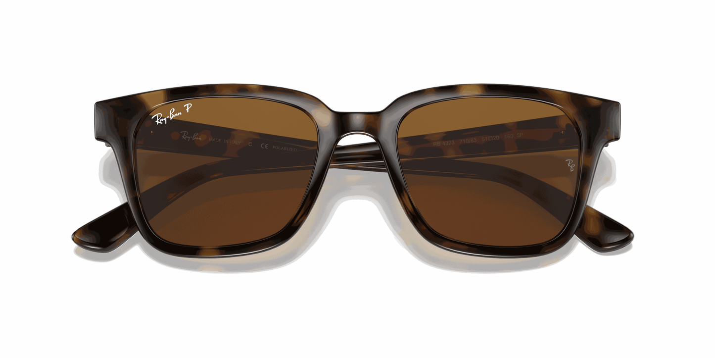 [B-15 Brown Lenses, Polished Light Havana Frame]