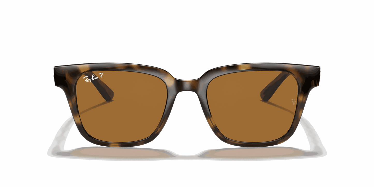 [B-15 Brown Lenses, Polished Light Havana Frame]