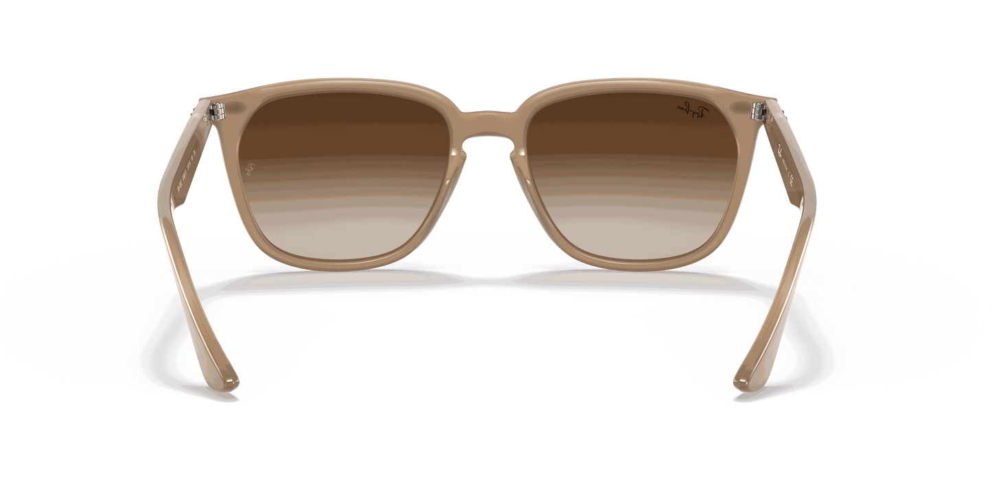 [Brown Lenses, Polished Light Brown Frame]