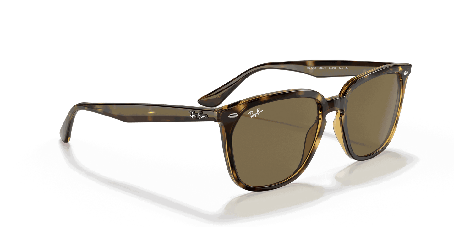 [Dark Brown Lenses, Polished Havana Frame]