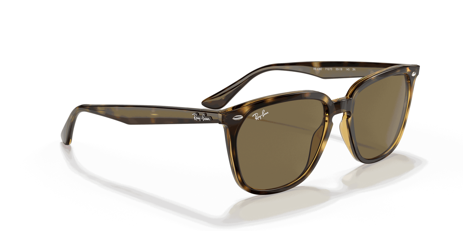 [Dark Brown Lenses, Polished Havana Frame]