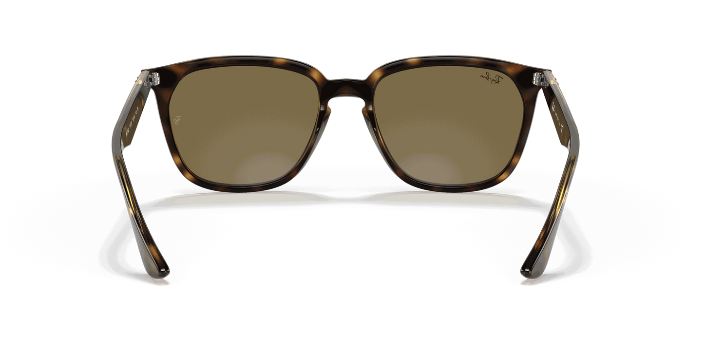 [Dark Brown Lenses, Polished Havana Frame]