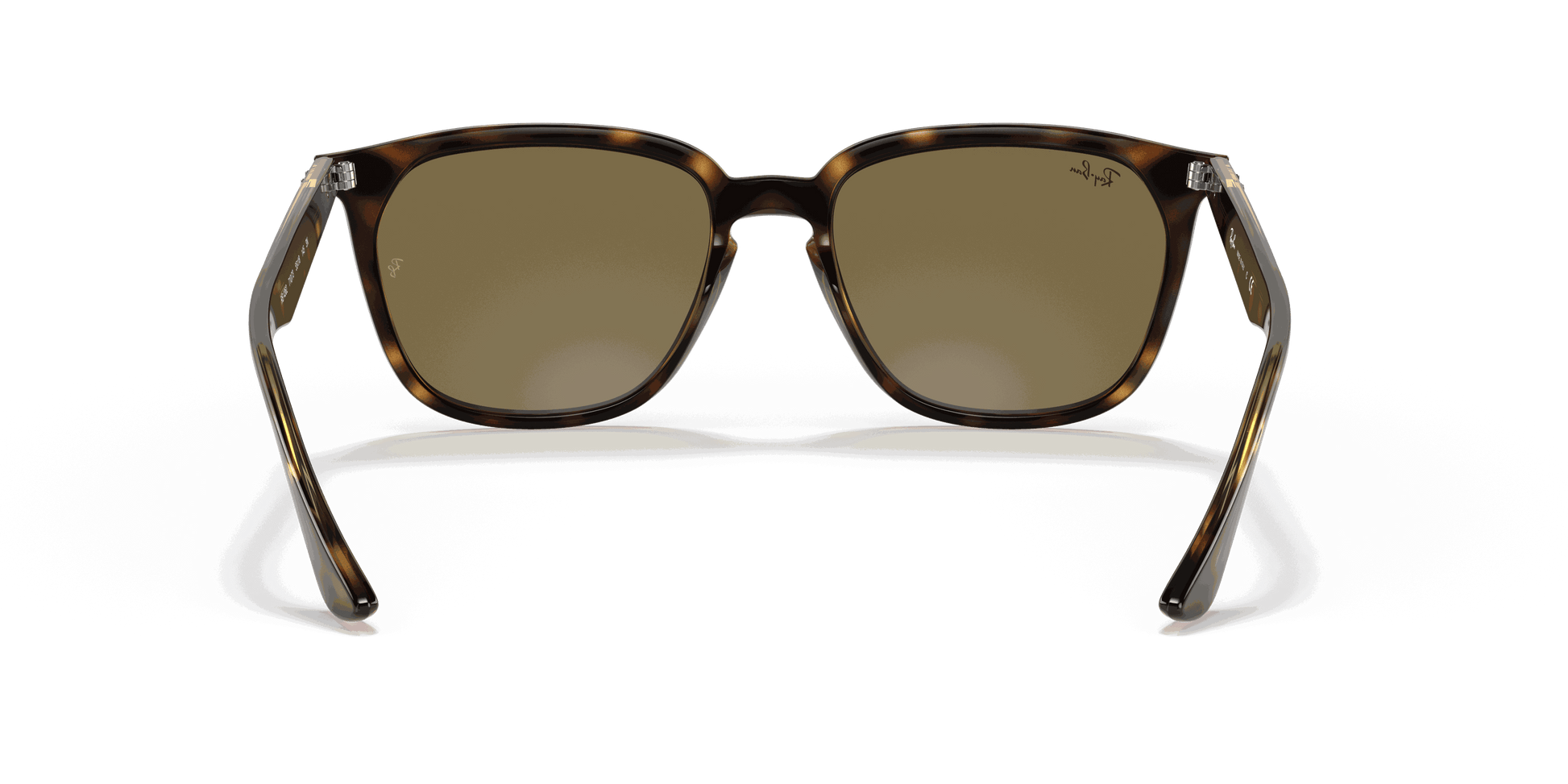 [Dark Brown Lenses, Polished Havana Frame]
