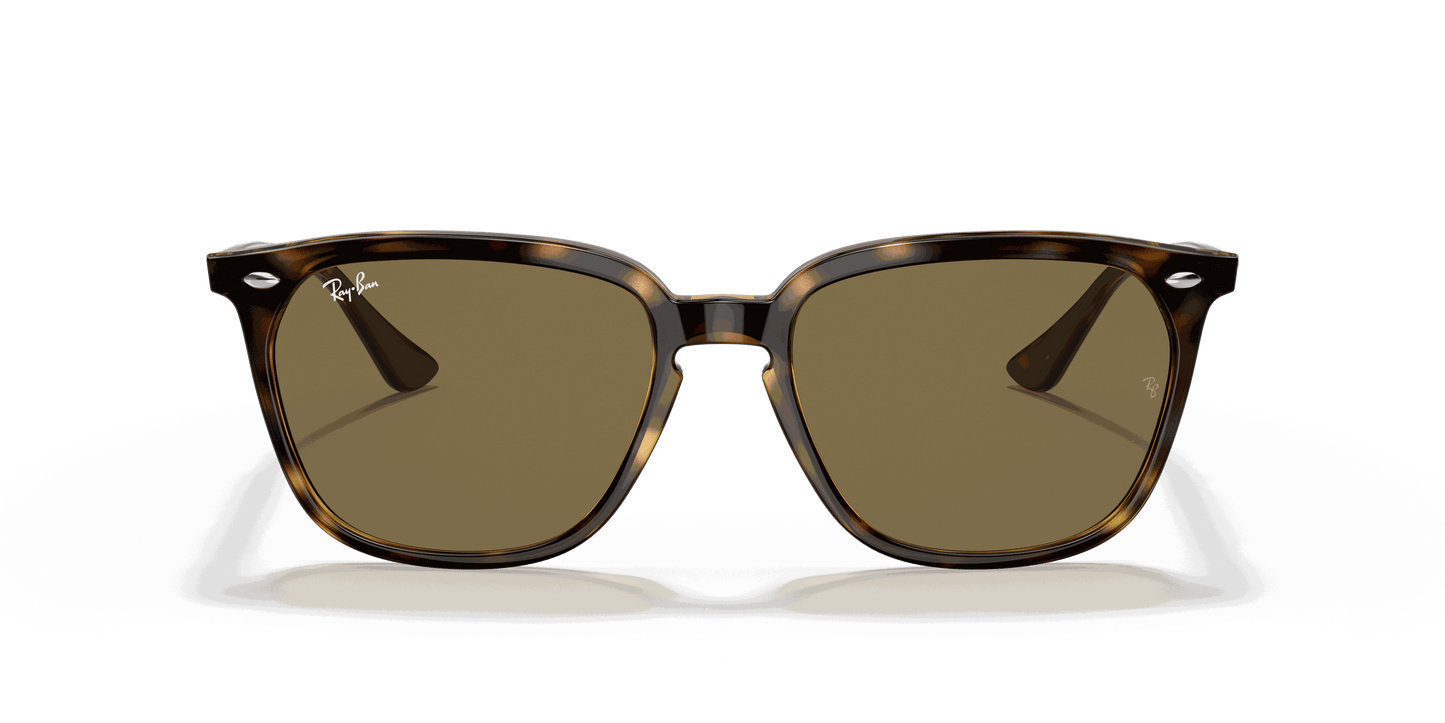 [Dark Brown Lenses, Polished Havana Frame]
