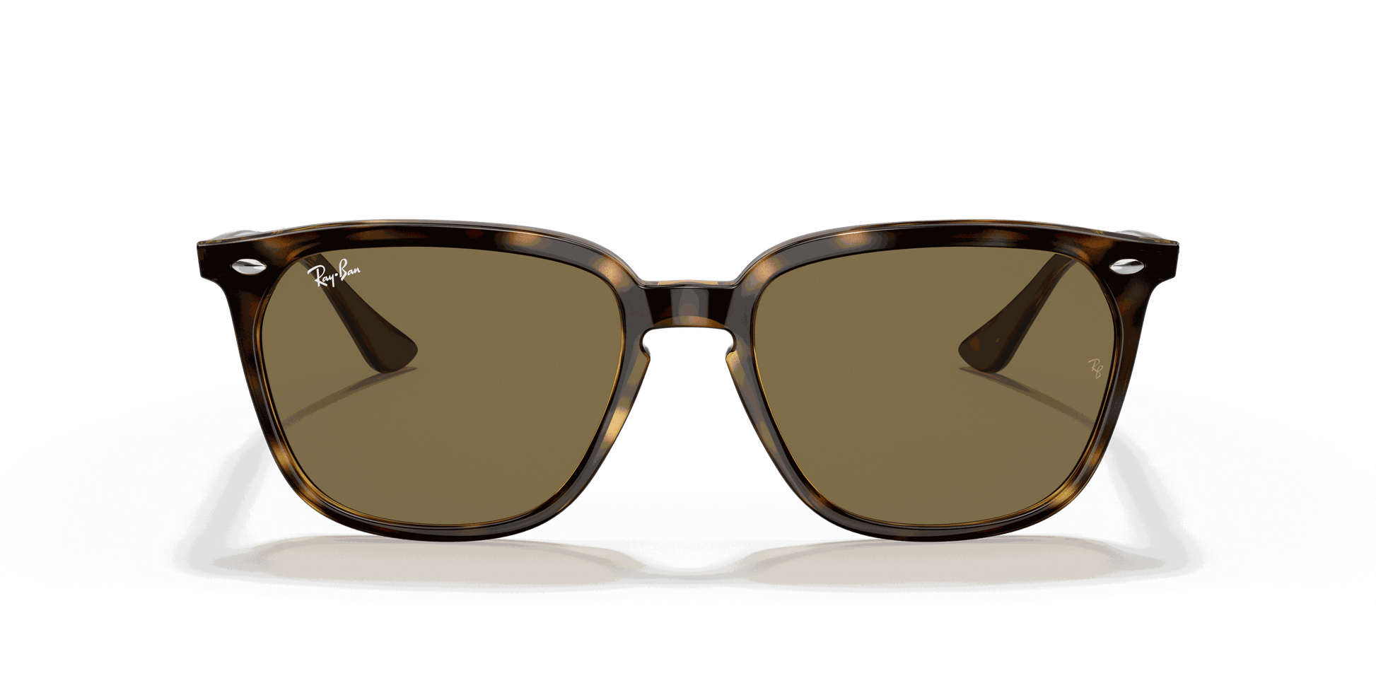 [Dark Brown Lenses, Polished Havana Frame]