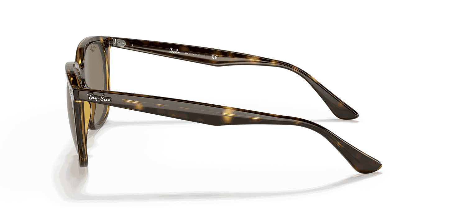 [Dark Brown Lenses, Polished Havana Frame]