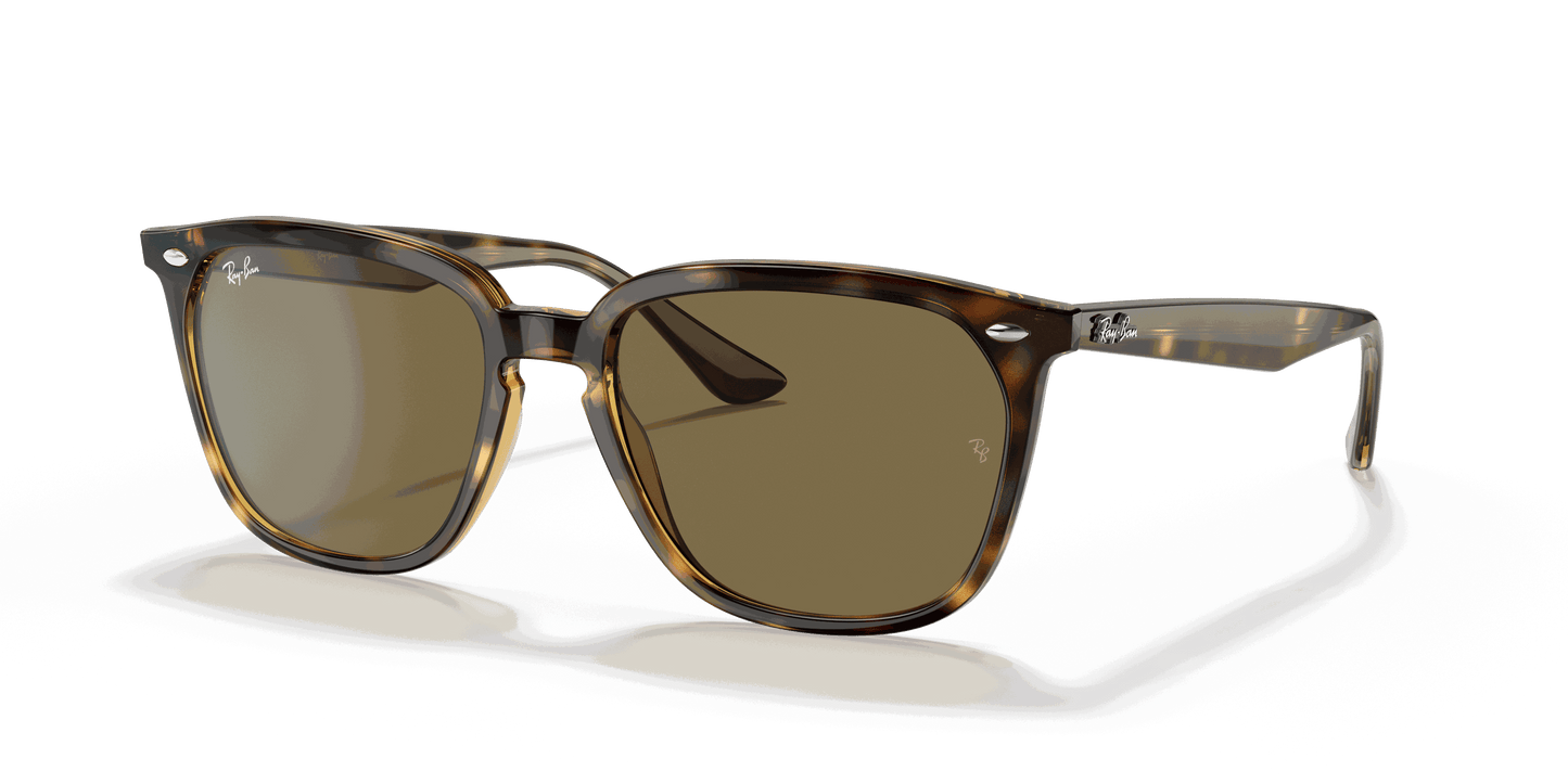 [Dark Brown Lenses, Polished Havana Frame]