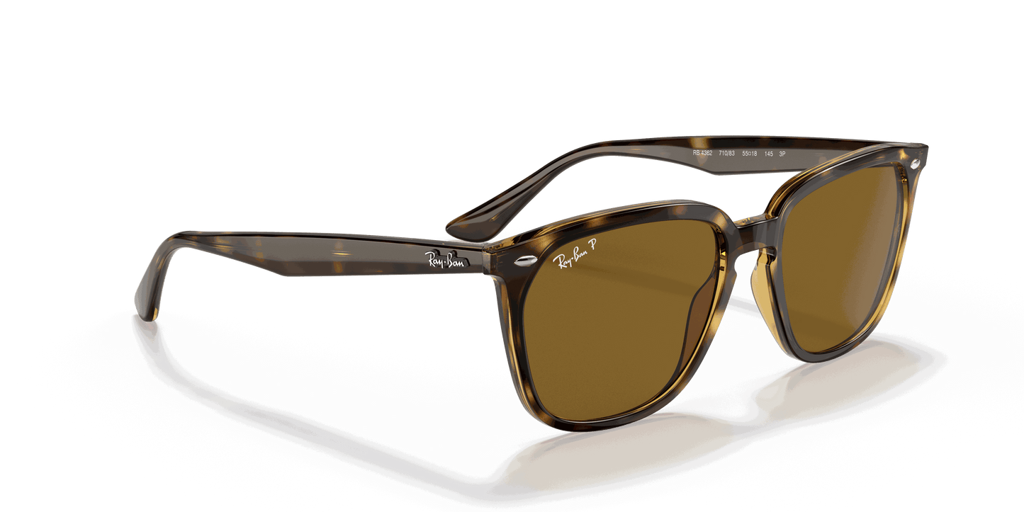 [B-15 Brown Lenses, Polished Havana Frame]