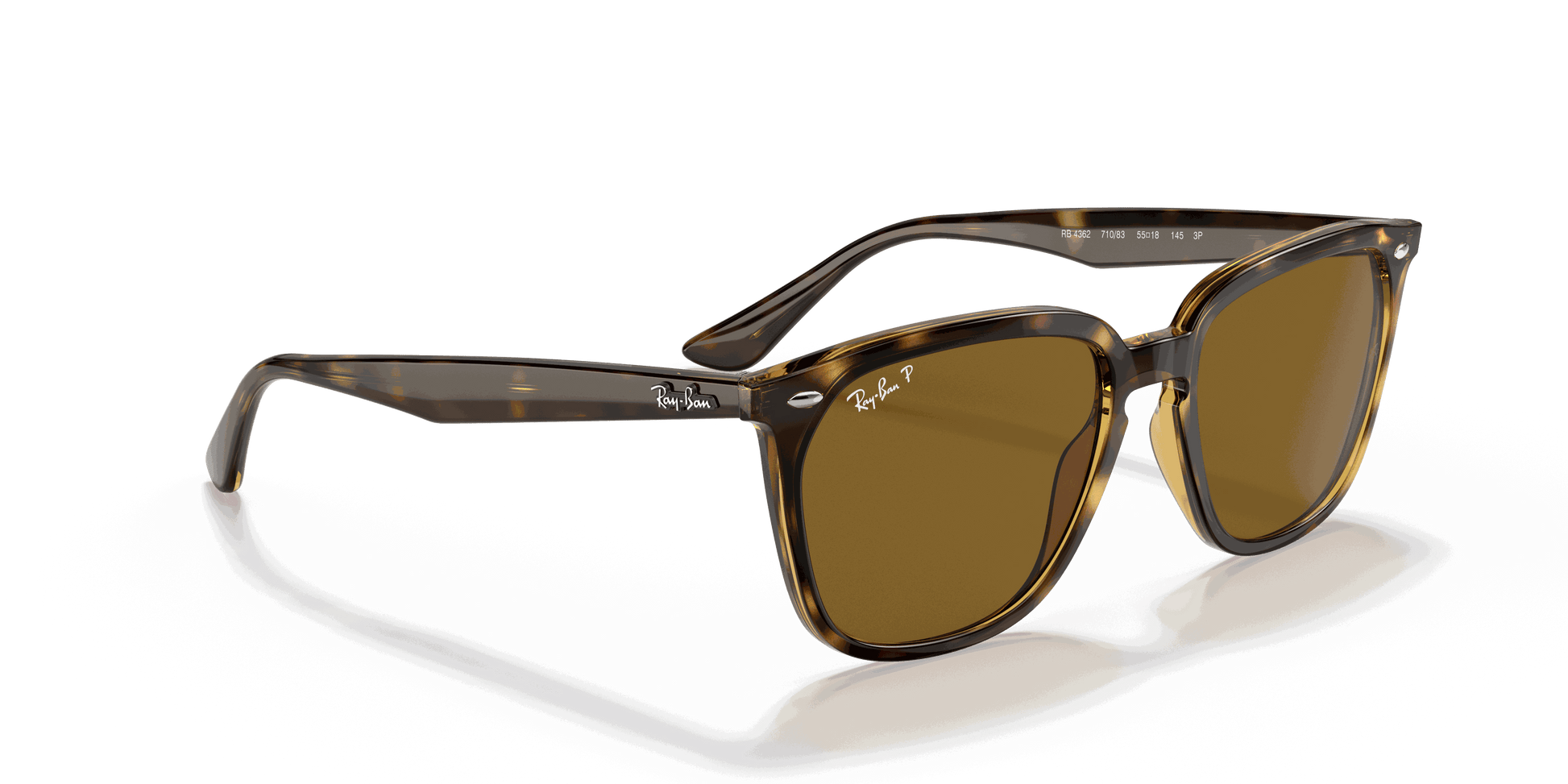 [B-15 Brown Lenses, Polished Havana Frame]