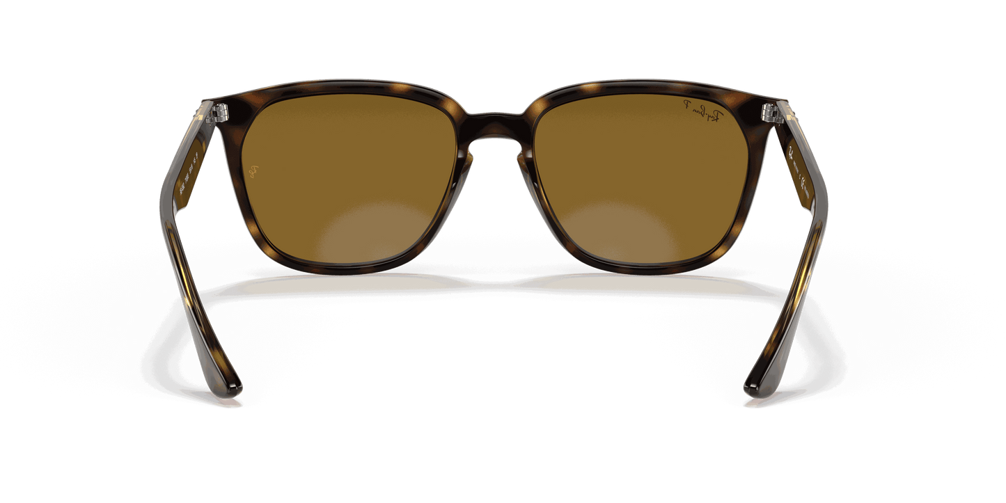 [B-15 Brown Lenses, Polished Havana Frame]