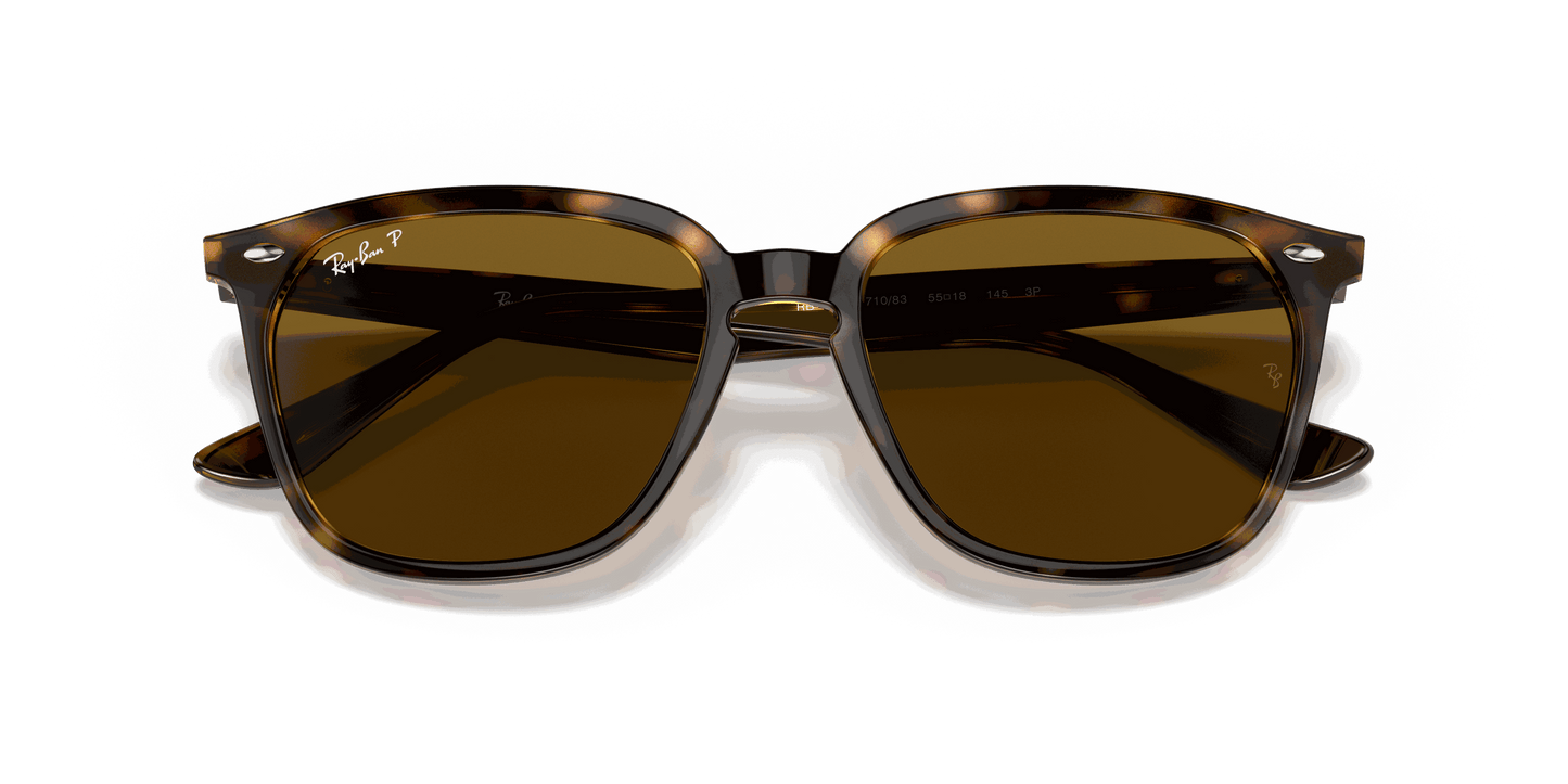 [B-15 Brown Lenses, Polished Havana Frame]