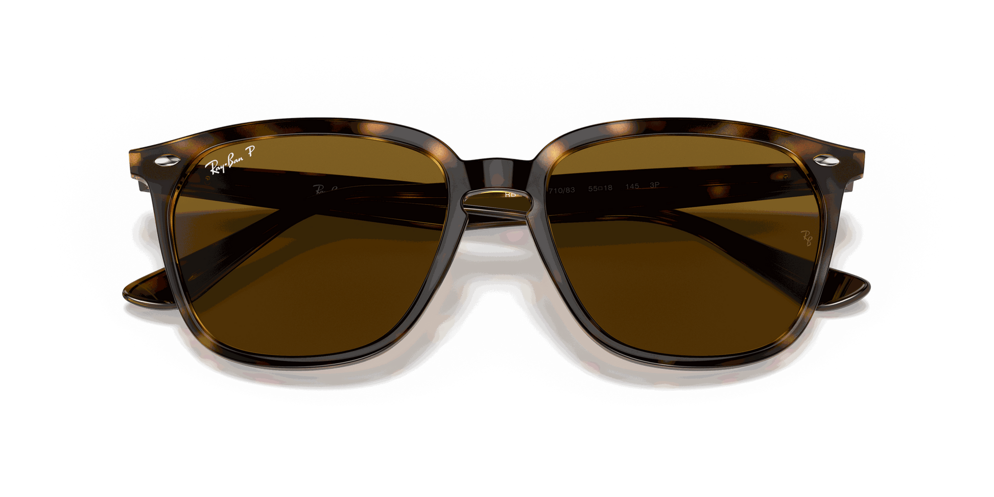 [B-15 Brown Lenses, Polished Havana Frame]
