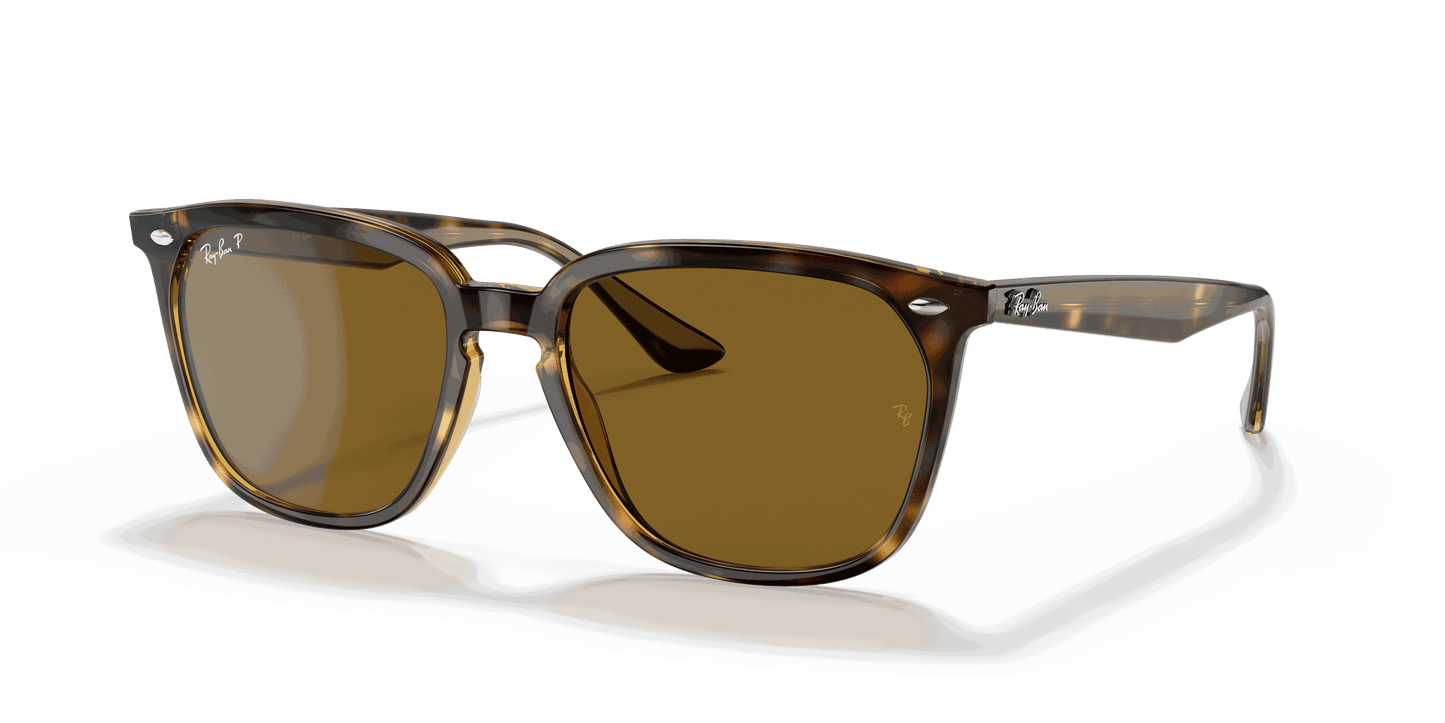 [B-15 Brown Lenses, Polished Havana Frame]