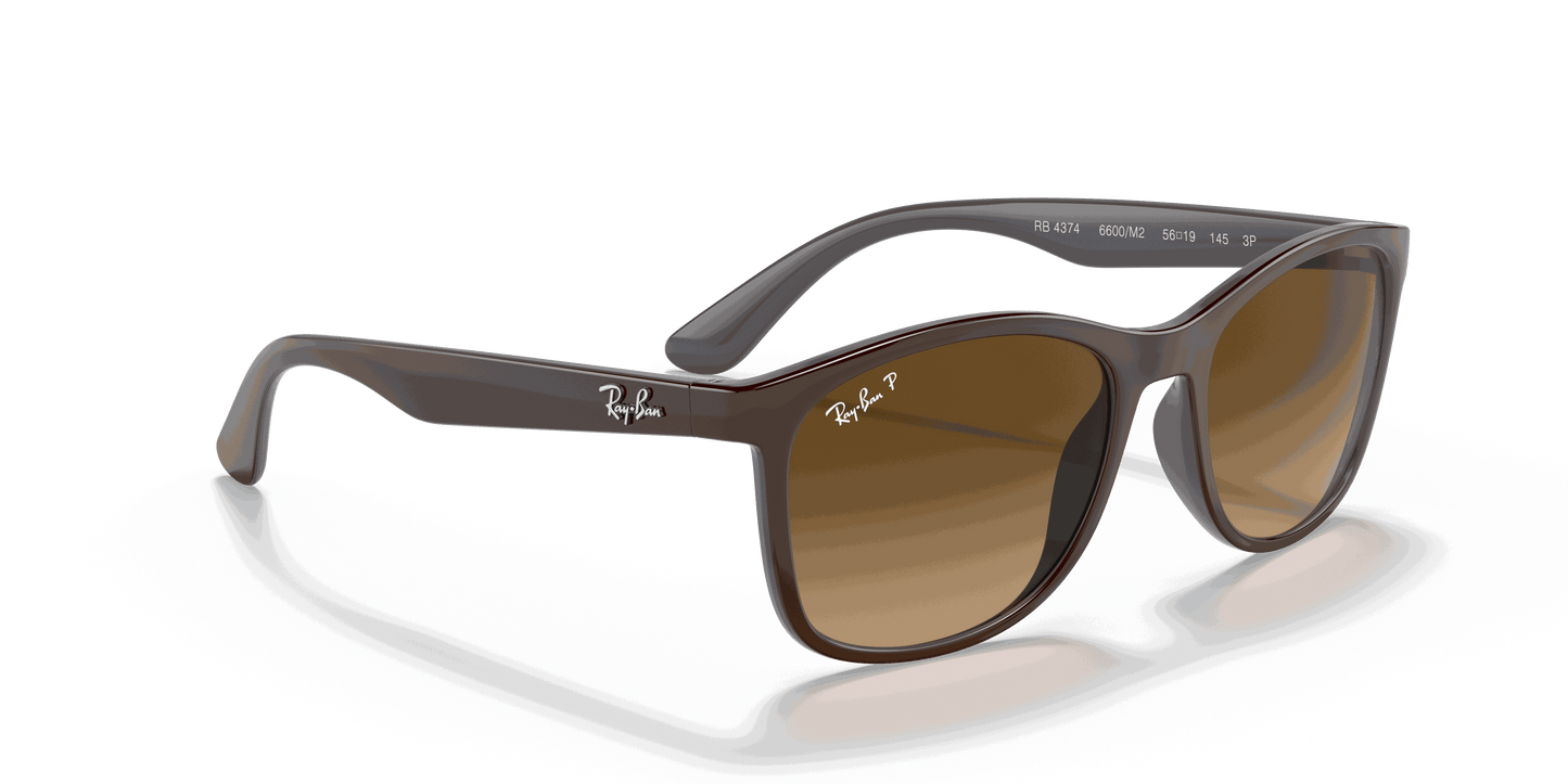 [Brown Lenses, Polished Brown On Grey Frame]
