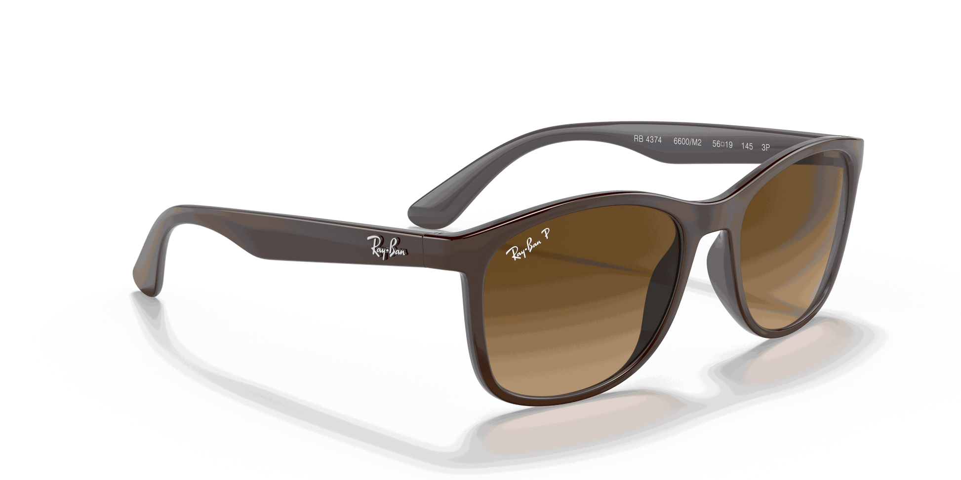[Brown Lenses, Polished Brown On Grey Frame]