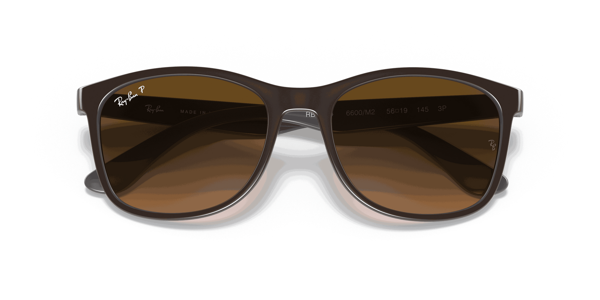 [Brown Lenses, Polished Brown On Grey Frame]