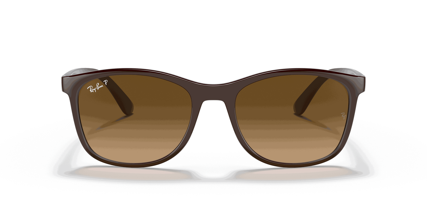 [Brown Lenses, Polished Brown On Grey Frame]