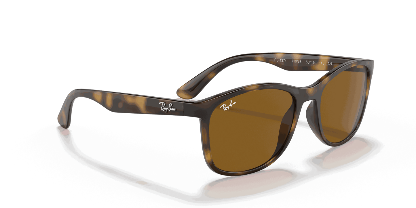[Brown Lenses, Polished Havana Frame]