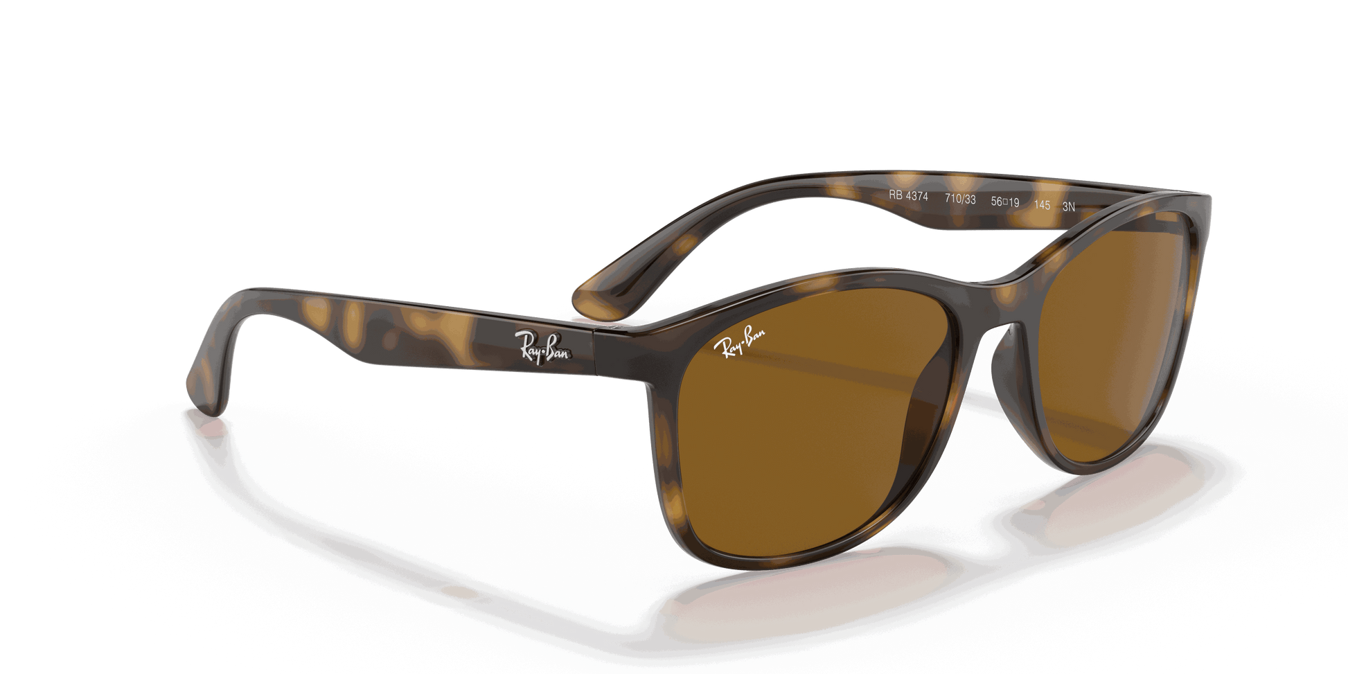 [Brown Lenses, Polished Havana Frame]