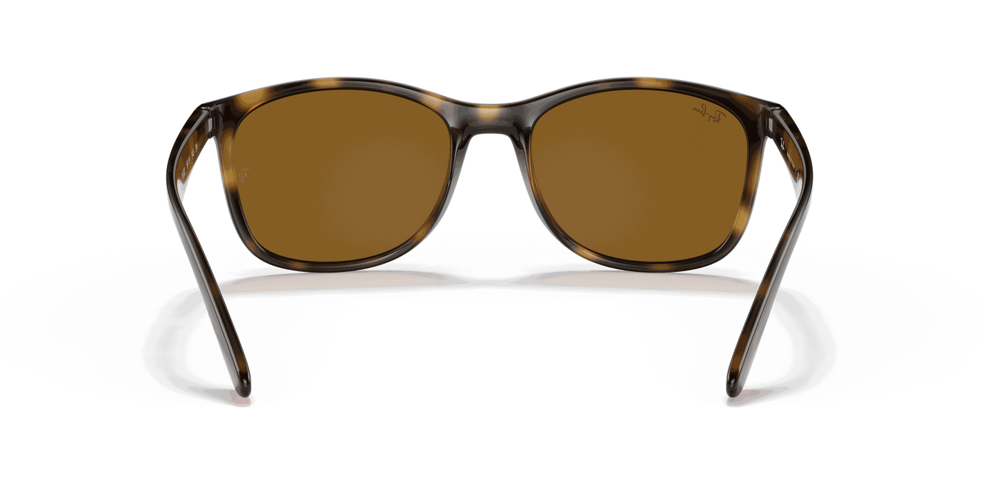 [Brown Lenses, Polished Havana Frame]