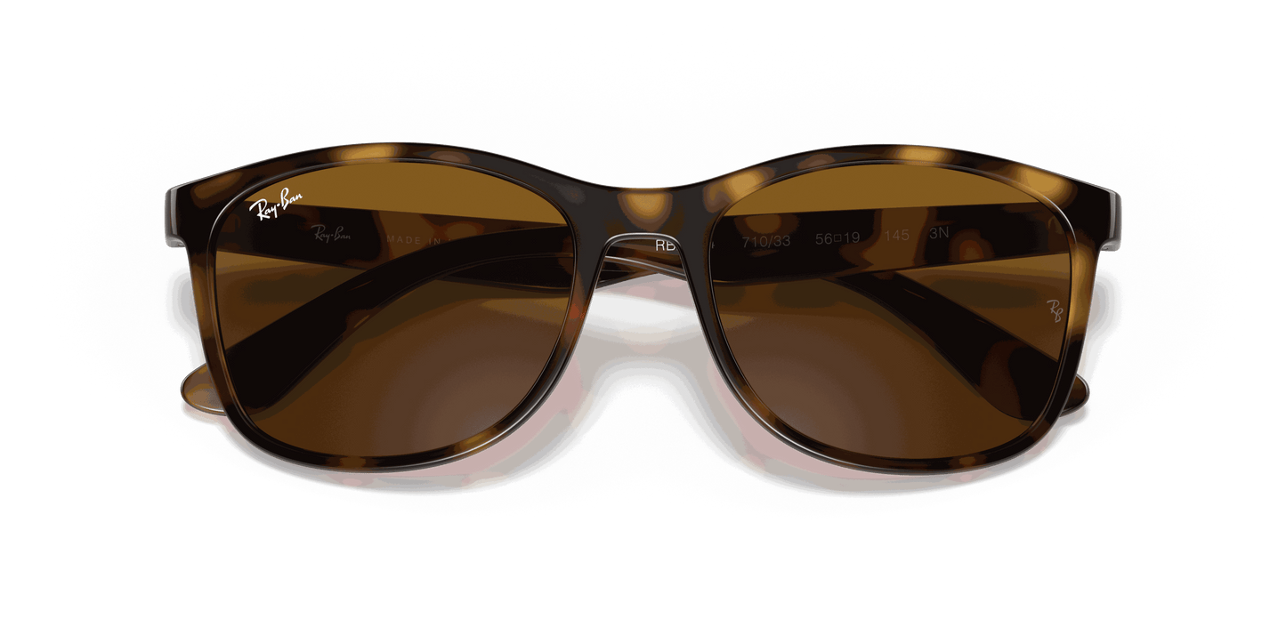 [Brown Lenses, Polished Havana Frame]