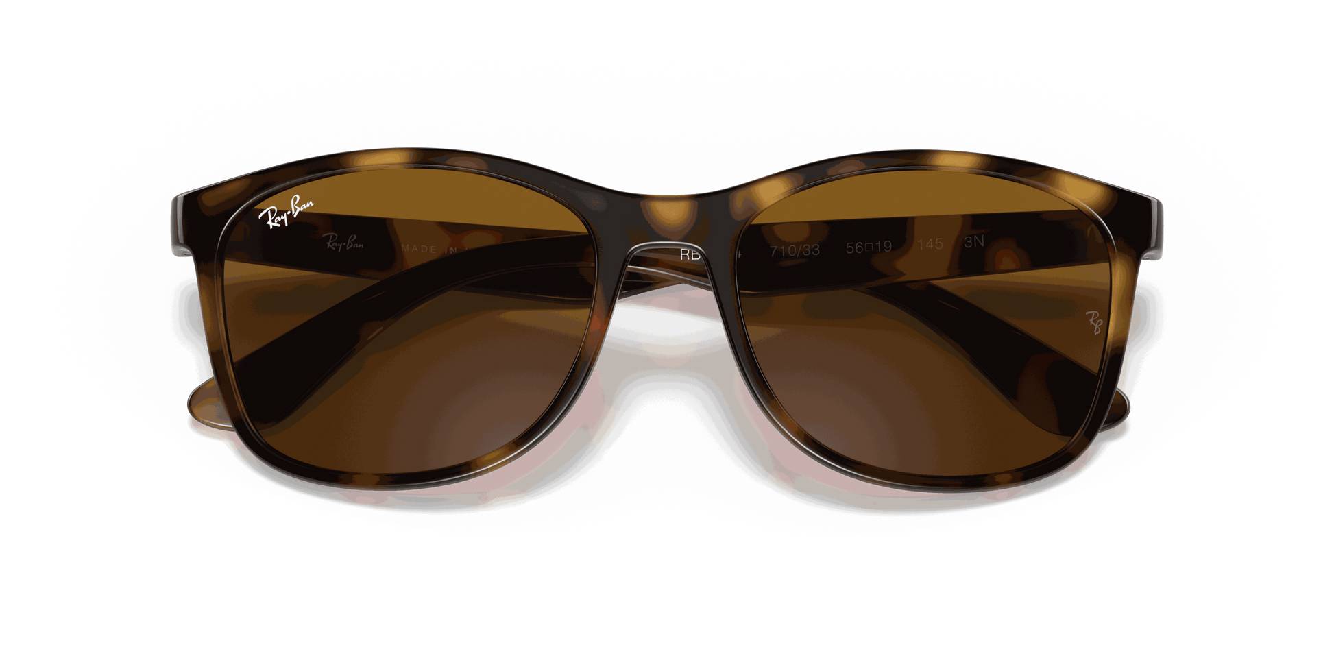 [Brown Lenses, Polished Havana Frame]