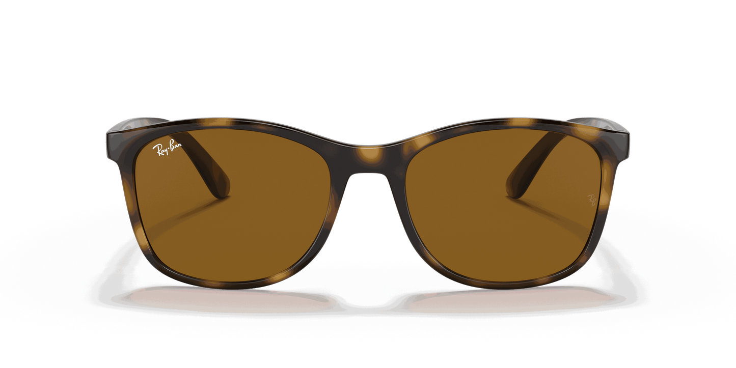 [Brown Lenses, Polished Havana Frame]