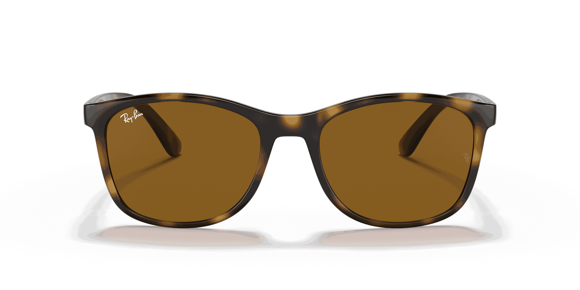 [Brown Lenses, Polished Havana Frame]