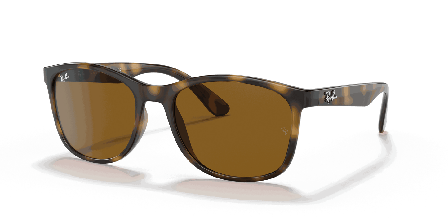 [Brown Lenses, Polished Havana Frame]