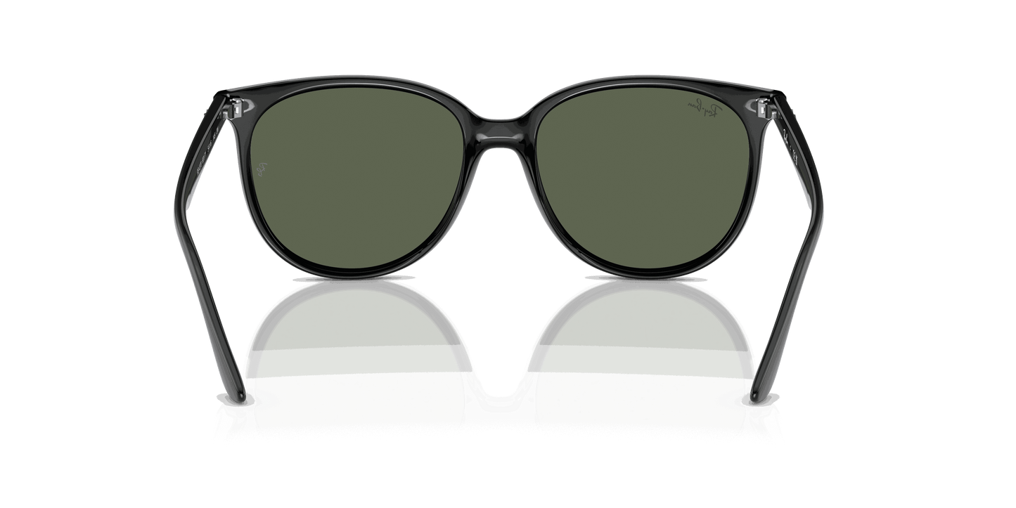[Dark Green Lenses, Polished Black Frame]