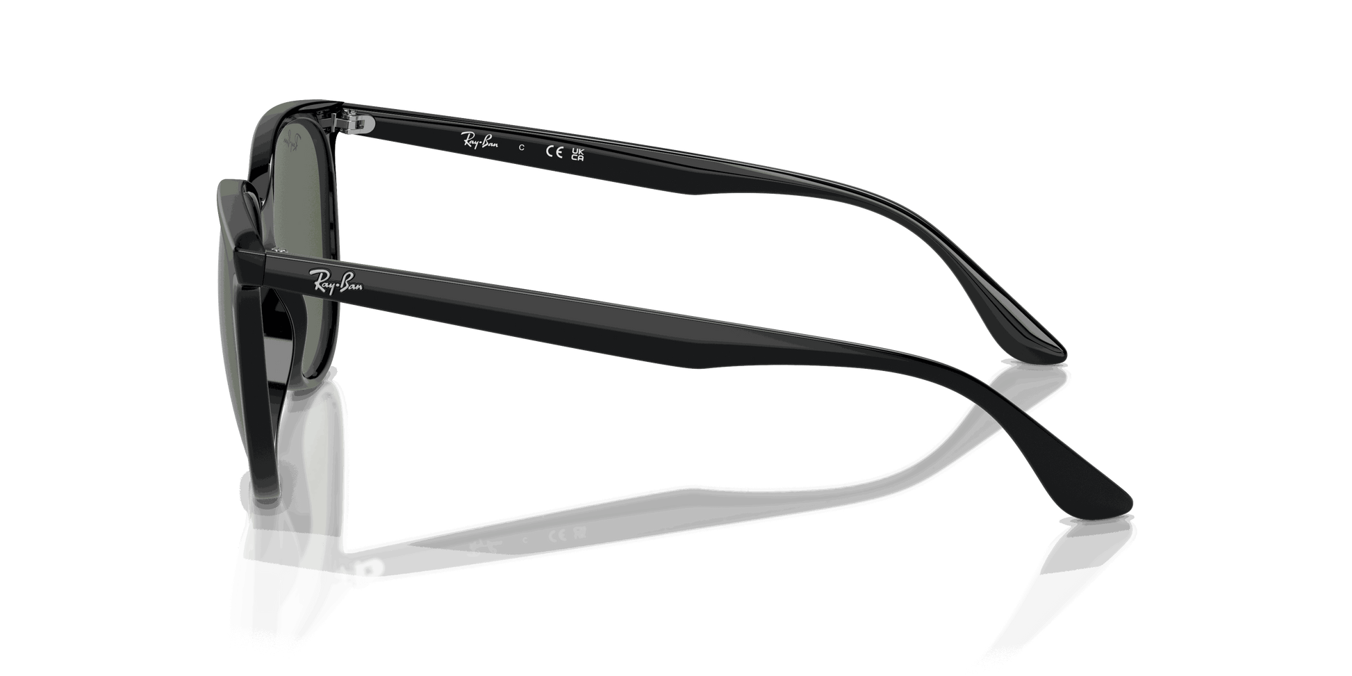 [Dark Green Lenses, Polished Black Frame]