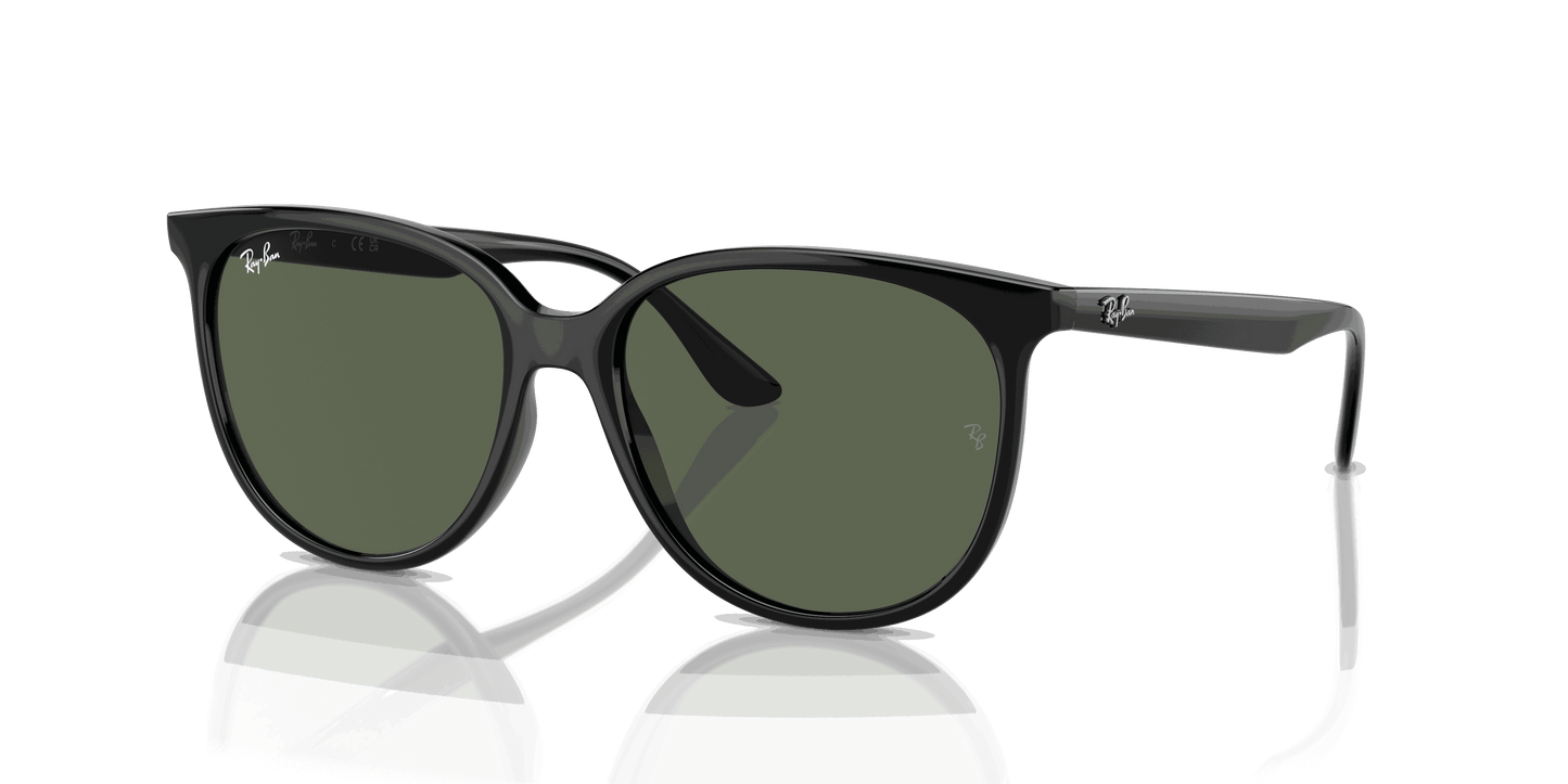 [Dark Green Lenses, Polished Black Frame]