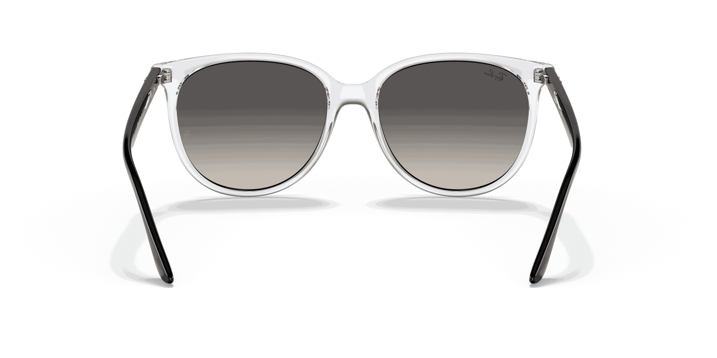 [Grey Gradient Lenses, Polished Transparent Frame]