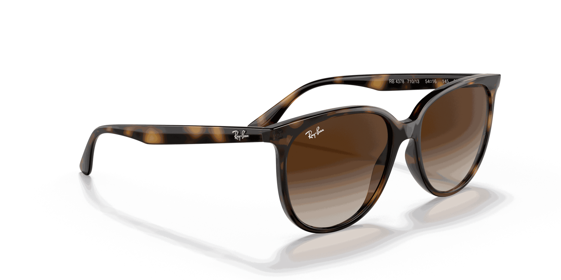 [Gradient Brown Lenses, Polished Havana Frame]