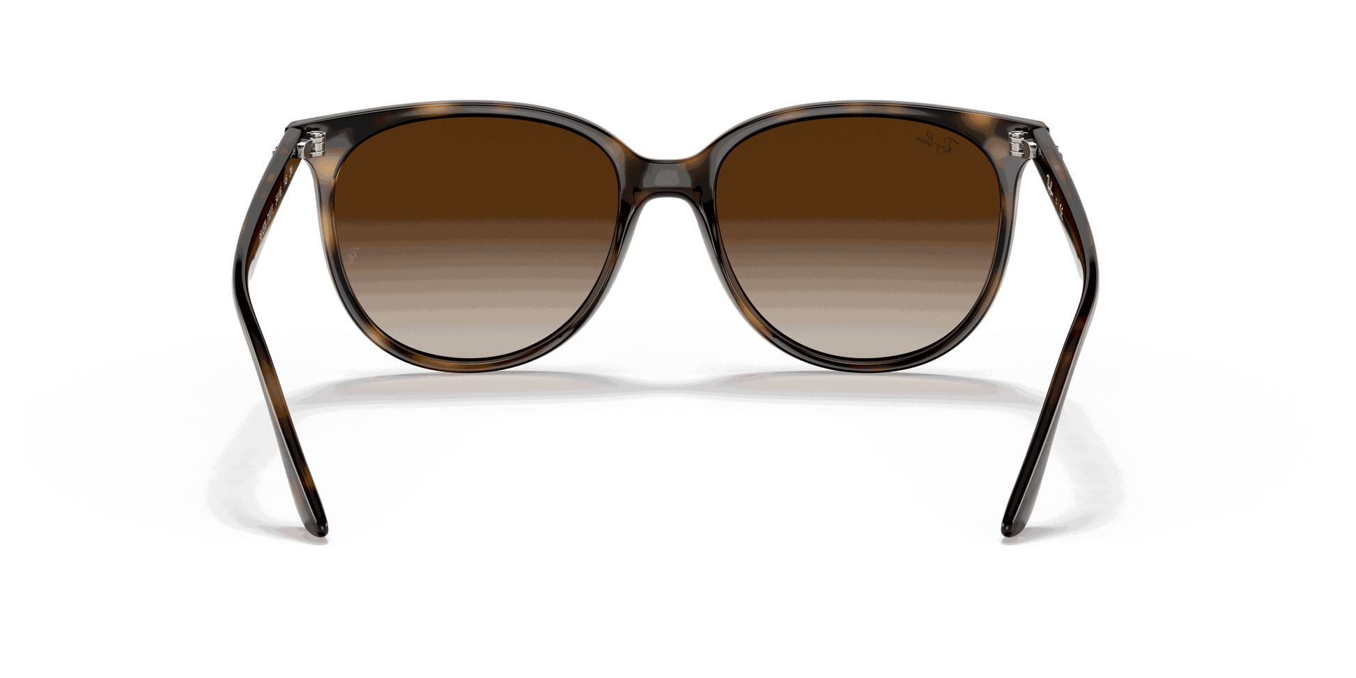 [Gradient Brown Lenses, Polished Havana Frame]