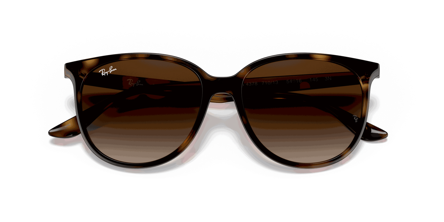 [Gradient Brown Lenses, Polished Havana Frame]