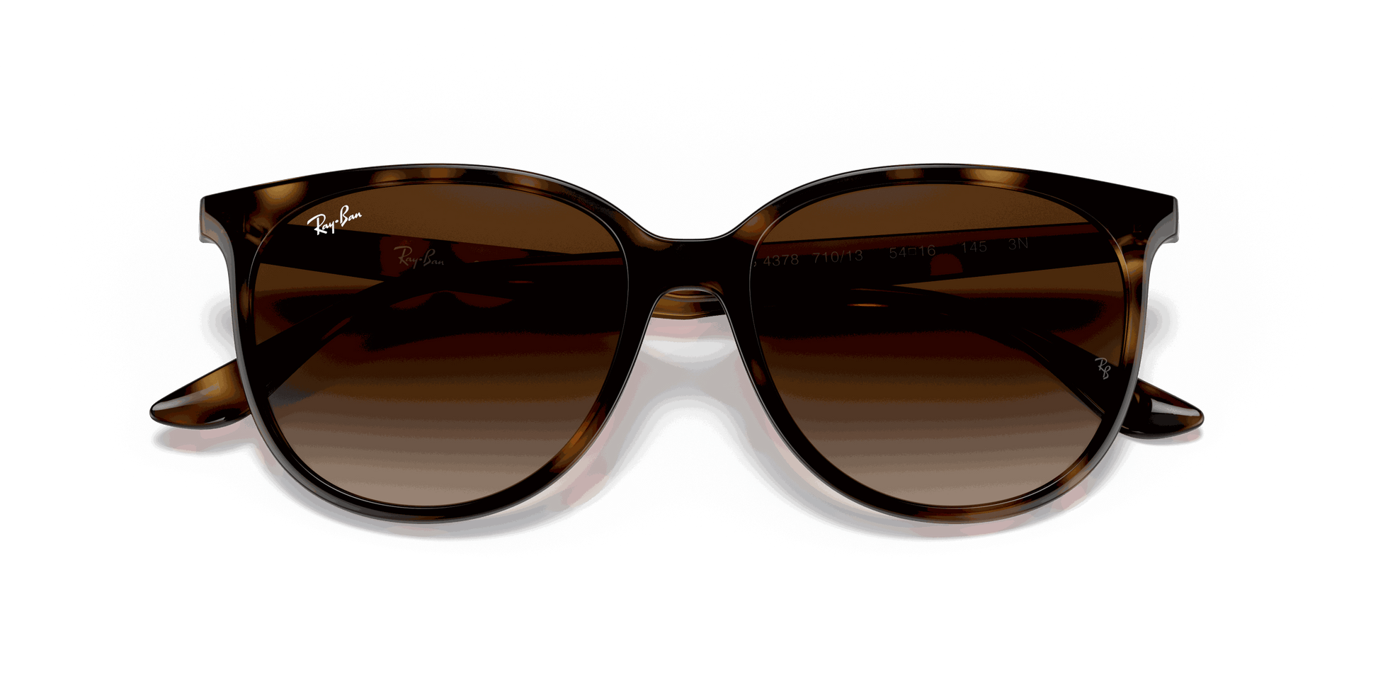[Gradient Brown Lenses, Polished Havana Frame]
