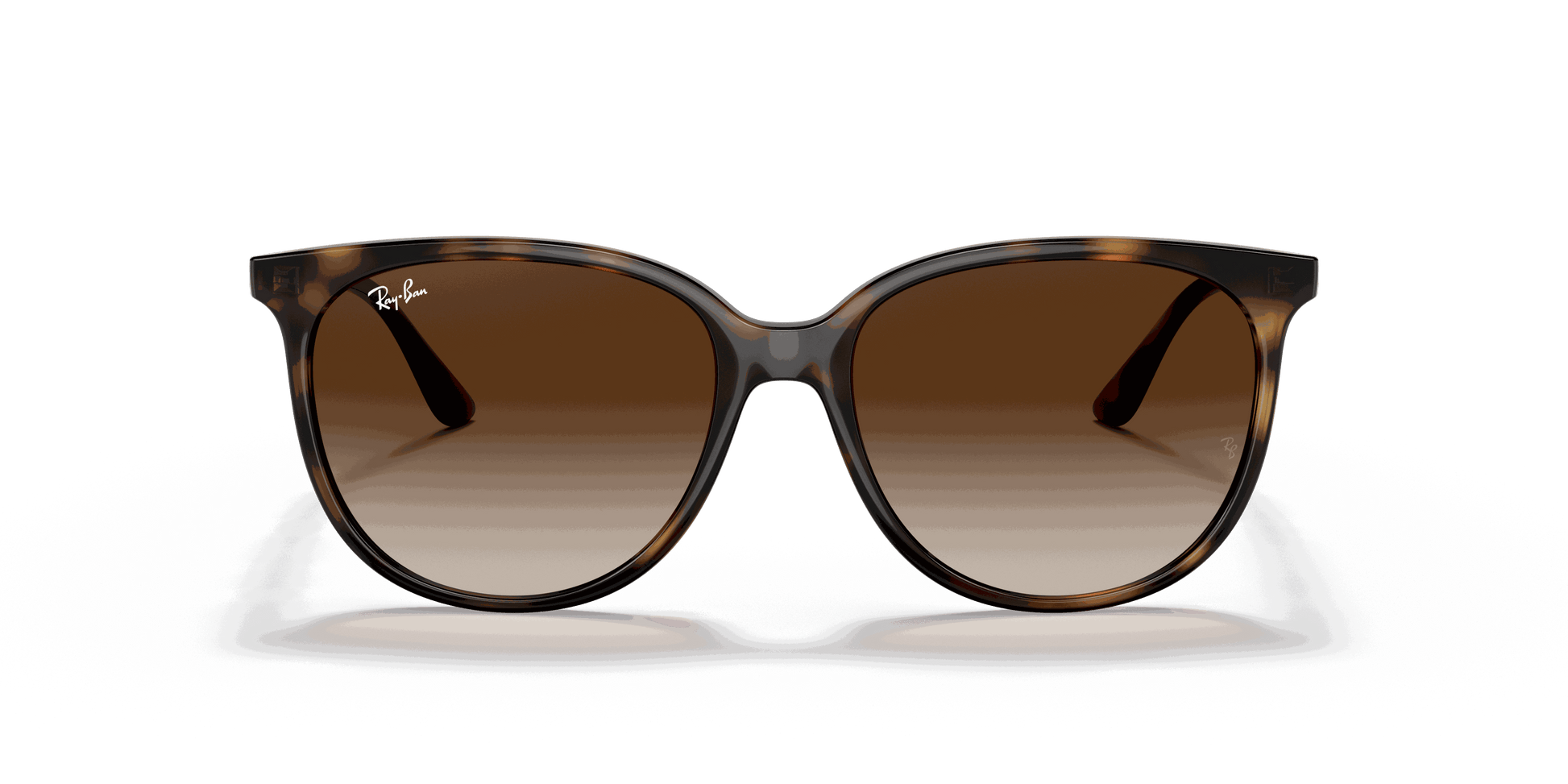 [Gradient Brown Lenses, Polished Havana Frame]