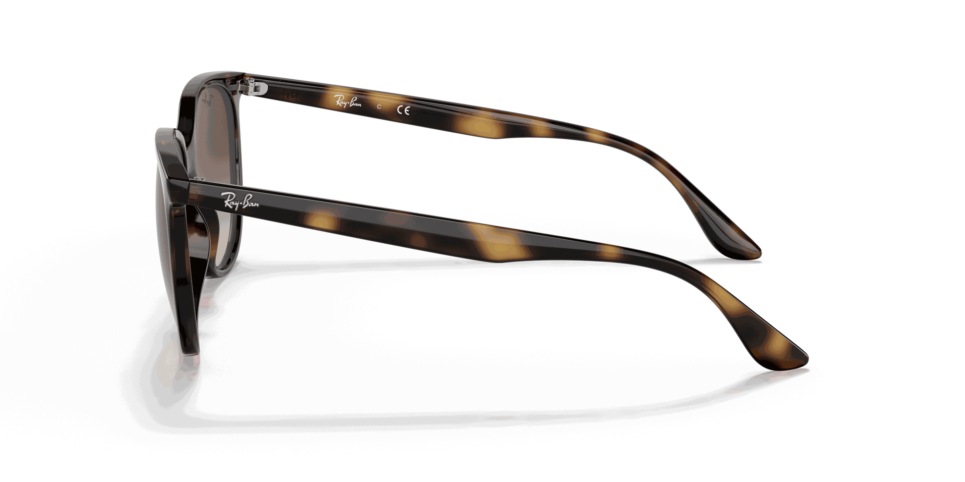 [Gradient Brown Lenses, Polished Havana Frame]