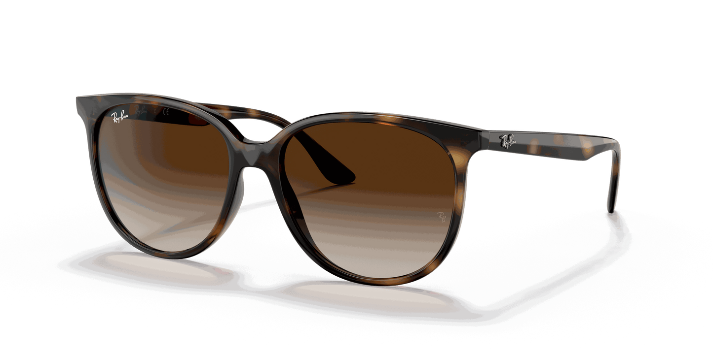 [Gradient Brown Lenses, Polished Havana Frame]
