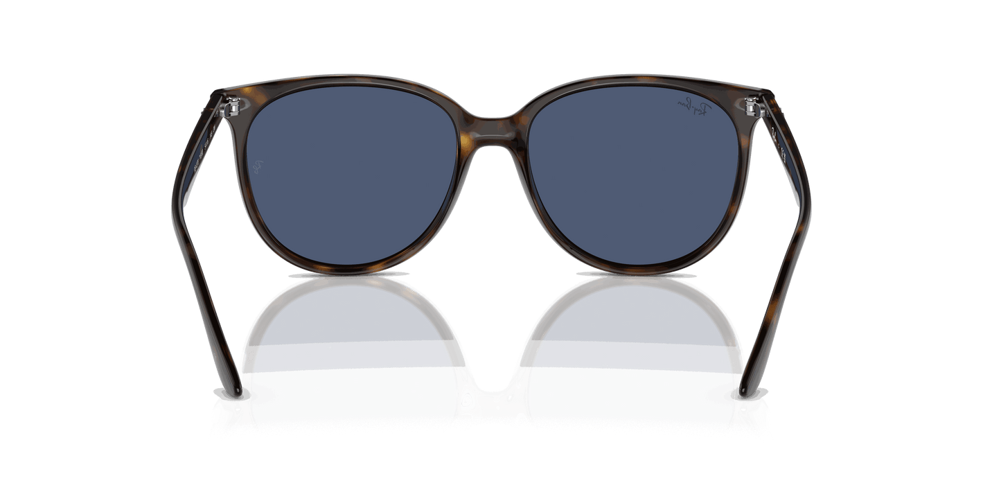 [Dark Blue Lenses, Polished Havana Frame]