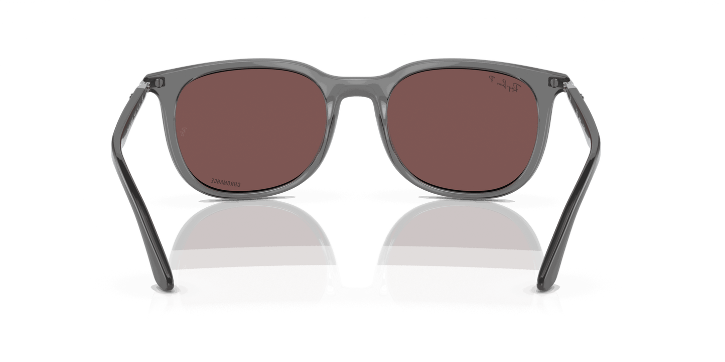 [Dark Violet Lenses, Polished Transparent Grey Frame]
