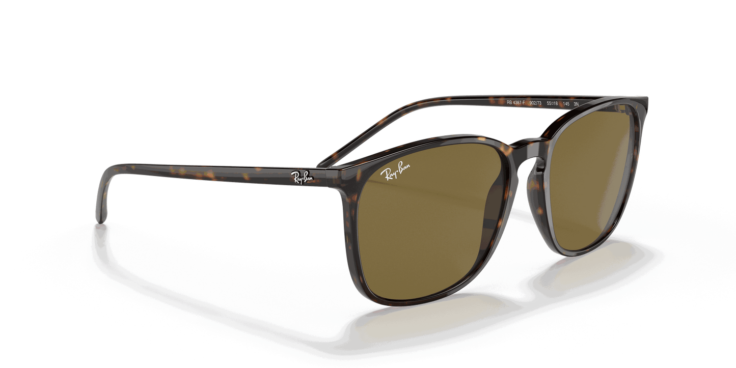 [Brown Classic Lenses, Polished Tortoise Frame]