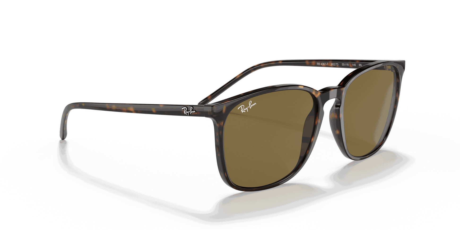 [Brown Classic Lenses, Polished Tortoise Frame]